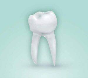 Endodoncia Biradicular